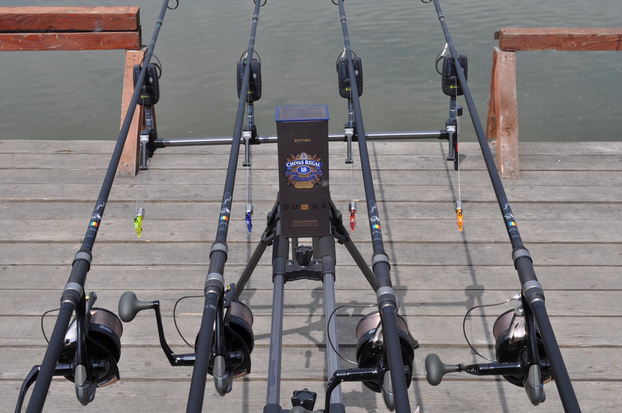 Teslui - dsc0373.JPG